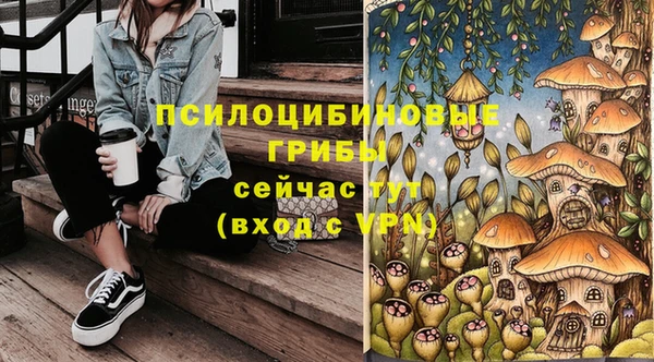 герыч Покровск