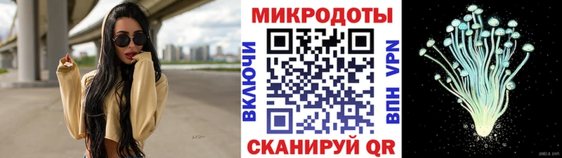 Купить  Ишим  Галлюциногенные грибы Psilocybine cubensis 