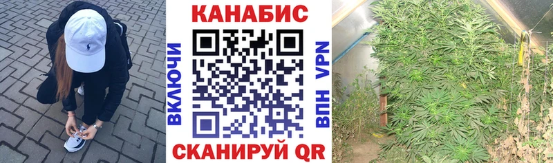 Каннабис OG Kush  Купить закладки  Ишим 